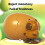Windup Capybara Mechanical Eggs Toy Children Educational 5
