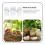 Witte plastic waterdispenser voor parkieten. 4