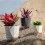 Beige plastic zelfwaterende plantenbak – 3 maten 4