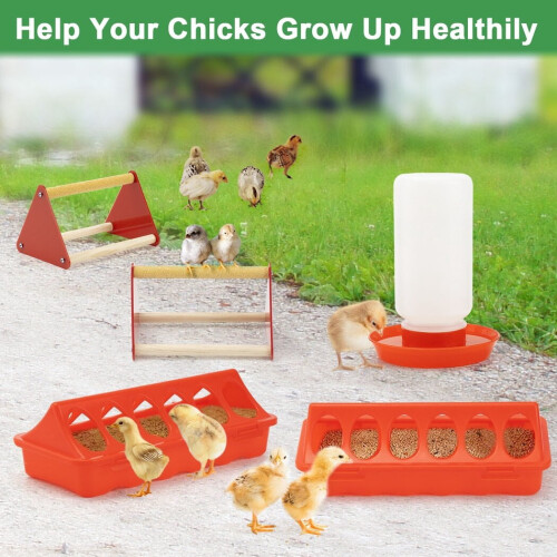 Chick Feeder and Waterer Kit with Perch, Plastic Flip-Top, 2