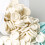 Plastic Airtight Grain Storage Container 5