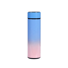 PAVEOS Smart-Wasserflasche, Edelstahl, 500 ml, LCD-Temperaturanzeige