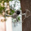 1 Set Protector Propeller Accessory Guard for Mini SE/Mini 2/ Mini Wing Fan Cover Propeller Protecto 1