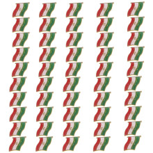 Official Style Iranian Flag Brooch For Collectors And-50 pieces