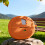Shockproof Headphone Cover Dustproof Washable Housing-Orange 5