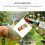 Gartenschlauchverbinder aus Messing, 4,0 x 2,9 cm 5
