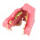 Friendly PVC Construction Dog Teeth Model Ideal for Veterinary 1