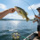 Transportable Dense Landing Net With Extendable Grip For-Red 5