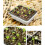 Wamans seedling tray with lid and ventilation 1 pack 5