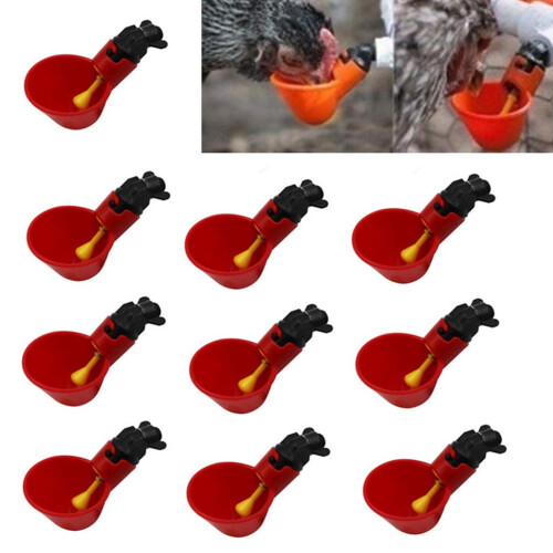 Kycklingdryckkoppset – Automatisk vattenkopp för fjäderfä, 10