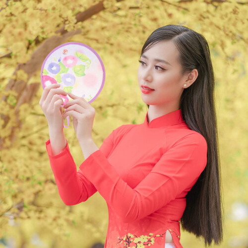 Round Foldable Hand Fan – Assorted Colours, 21 cm 1