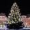 Projecteur Meteor Shower Lights Blanc chaud 10 tubes 540 LED 2