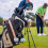 Suport Pro pentru tee de golf – ecologic, stabil, pachet de 1 5
