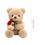 Teddy Bear with Rose Valentine's Gift Plush Toy 2
