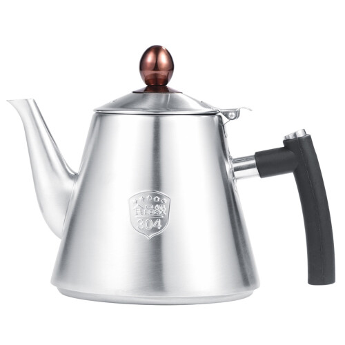 Bouilloire de 1,2 L en acier inoxydable pour plaque de cuisson