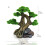 Resin Moss Tree Decoration for Creating Beautiful Fishtanks-M 4