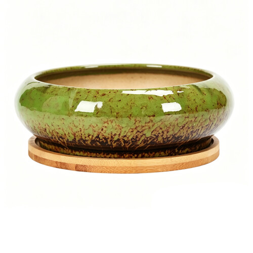 Ceramic Succulents Planter Bowl Round Shallow-Green hole1