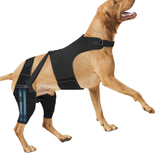 Back Leg Stabilizer For Ligament Injuries With Comfortable-XL