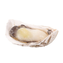Vivid Simulation Oyster Shell PVC Fake Food Model for Play Kitchen