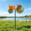 Whimsical Agricultural Equipment Field Feature Designed-Brown 5
