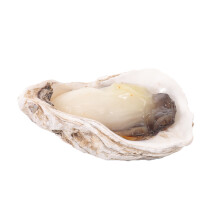 White PVC Faux Oyster Shell Prop Food Model for Seafood Display