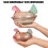 Glass Hen Candy Dish,Decorative Covered Candy- Glazed Color 2