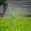 Aluminum Alloy Cordless Grass Trimmer with Adjustable Pole 2