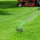 Aluminum Alloy Cordless Grass Trimmer with Adjustable Pole 3