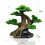 Décoration réaliste d'aquarium d'arbre en mousse, accessoires-S 5