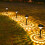 Solar Outdoor Pathway Lights Waterproof Stake Garden Yard 5