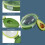 Avocado storage container reusable fridge freshness keeper 5