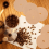 Filtri per caffè a percolazione non sbiancati, 95 mm, 400 pezzi 2