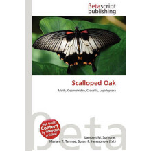 Scalloped Oak