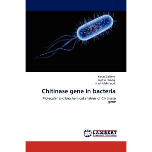 Chitinase gene in bacteria
