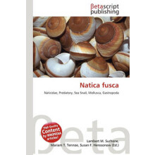 Natica fusca