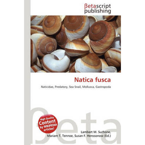 Natica fusca