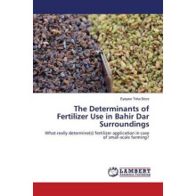 The Determinants of Fertilizer Use in Bahir Dar Surroundings