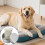 6 Metal Dog Scent Training Vessels Produced For Scent 6