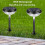 Solar Pathway Lights 6 Pack – Dual Mode LED, Waterproof 4