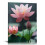 Zen Lotusblomst Lerretsbilde – Rosa Blomstertrykk 1