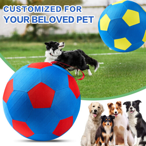 Shepherd Dog Herding Ball With Bouncing-Yellow and blue colo 2