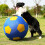 Jouet interactif de boule de chien de-Couleur jaune et bleu 6