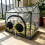 Observational Mushroom Growing Holder Including Growth bag-s 3