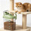 Leak Proof Pet With Clear Body For Quick Content Viewing-baise 7