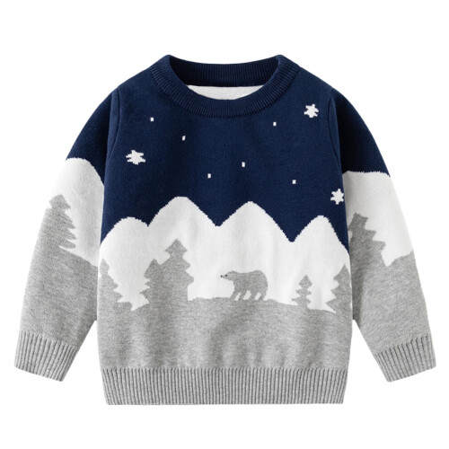 Boys' Cotton Bear Print Sweater, Various Sizes