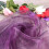 Dark Purple Polyester Sheer Curtain 39x79 in 7