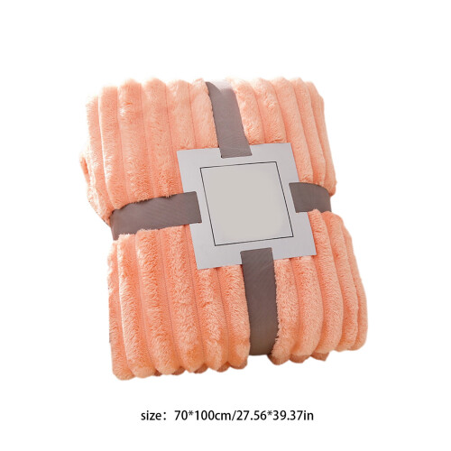 Raschel Winter Blanket Double-Layer Ultra Soft Plush 2