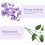Rami di glicine artificiali color lavanda, 12 pezzi 2