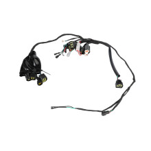 Full Set Motorcycle Wiring Harness Bike Wiring Improves Designed