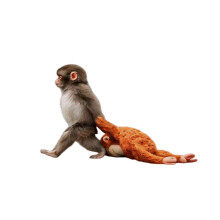 Car Exterior Decal Car Window Funny Monkey Theme-8 inches